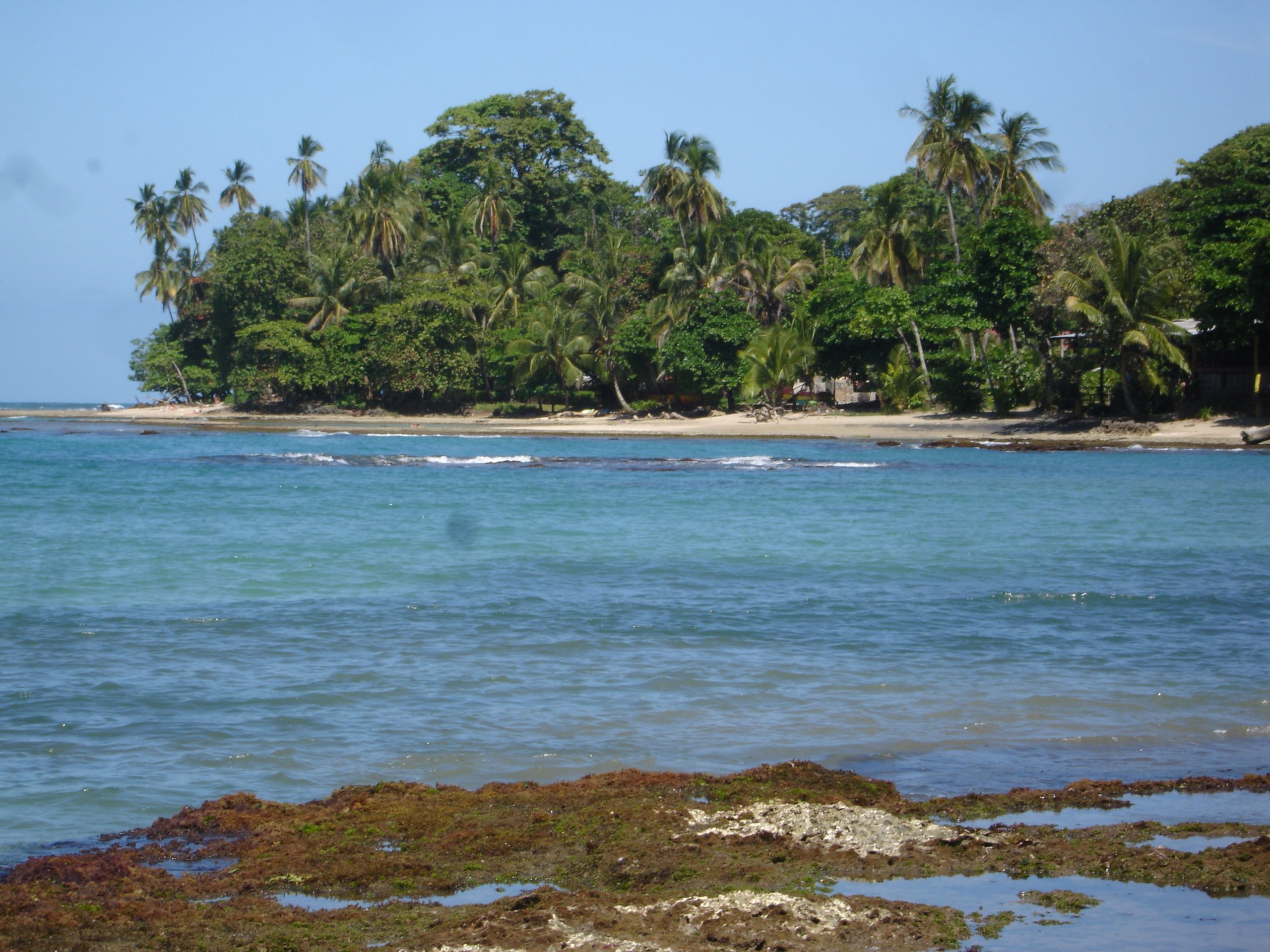 Twenty Years Since My First Trip to Costa Rica: A Perspective on Living Here