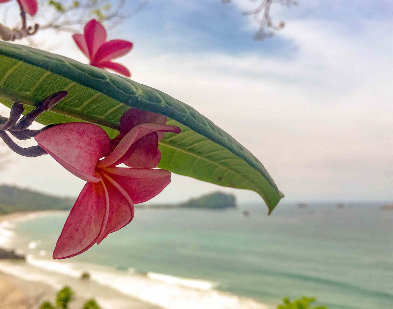costa rica relocation counseling support